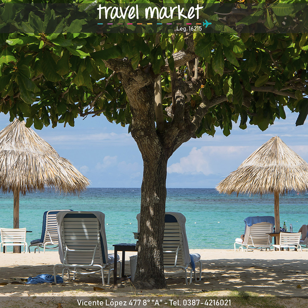 Travel Market